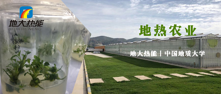 地熱在農業(yè)中的綜合利用助力雙碳目標實(shí)現|地熱農業(yè)-地大熱能