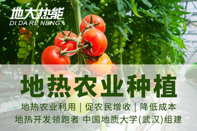 地熱資源:內蒙古發(fā)現的巨型地熱田有哪些利用方式？地大熱能