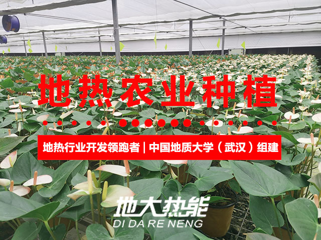濟南：“地熱能+農業(yè)”產(chǎn)業(yè)融合，讓地熱能真正“熱”起來(lái)-地大熱能