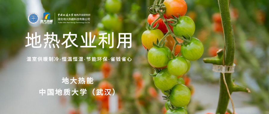 利用地熱解決糧食生產(chǎn)問(wèn)題并促進(jìn)發(fā)展-地熱資源開(kāi)發(fā)利用-地大熱能
