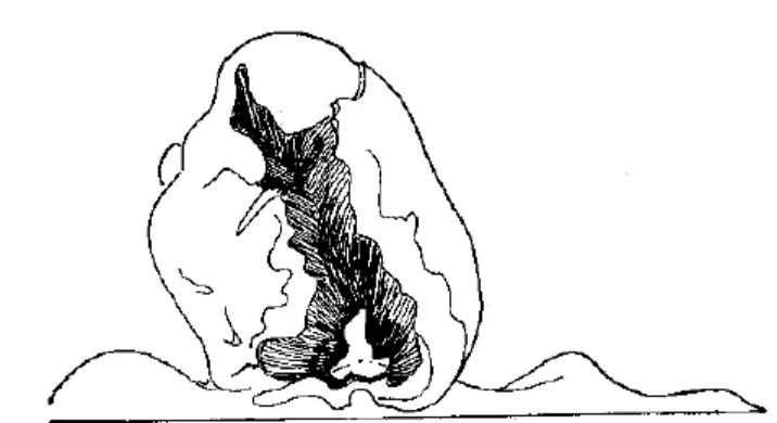 盤(pán)點(diǎn)各類(lèi)地質(zhì)地貌類(lèi)型-地熱資源開(kāi)發(fā)-地大熱能