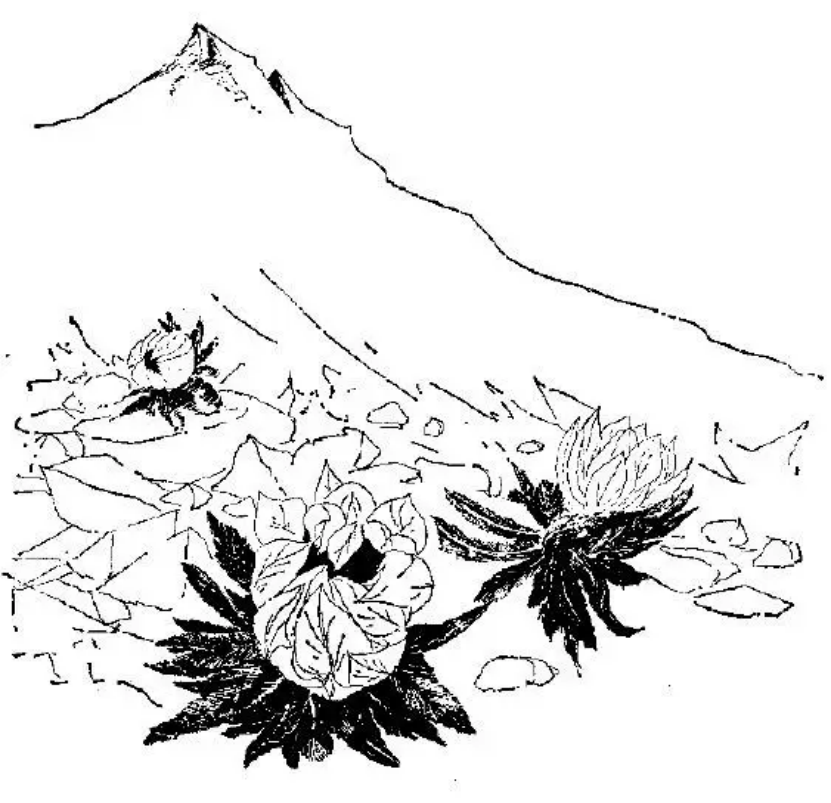 盤(pán)點(diǎn)各類(lèi)地質(zhì)地貌類(lèi)型-地熱資源開(kāi)發(fā)-地大熱能