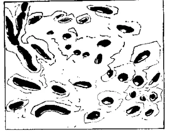 盤(pán)點(diǎn)各類(lèi)地質(zhì)地貌類(lèi)型-地熱資源開(kāi)發(fā)-地大熱能