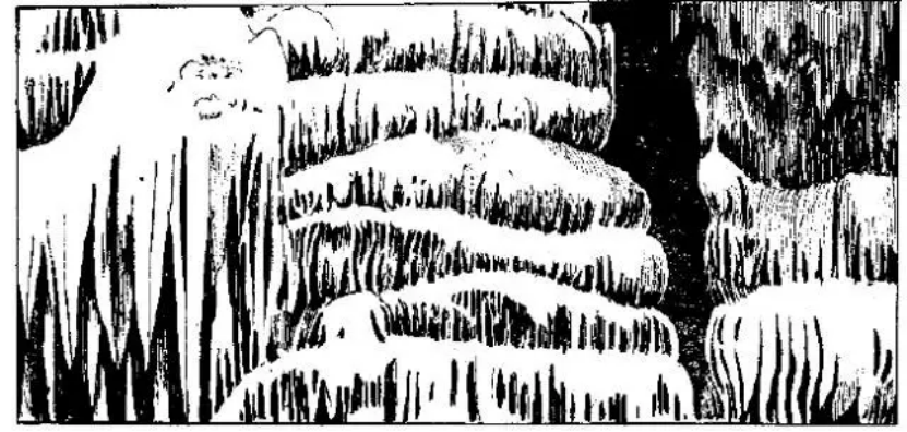 盤(pán)點(diǎn)各類(lèi)地質(zhì)地貌類(lèi)型-地熱資源開(kāi)發(fā)-地大熱能