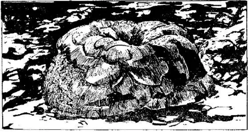 盤(pán)點(diǎn)各類(lèi)地質(zhì)地貌類(lèi)型-地熱資源開(kāi)發(fā)-地大熱能