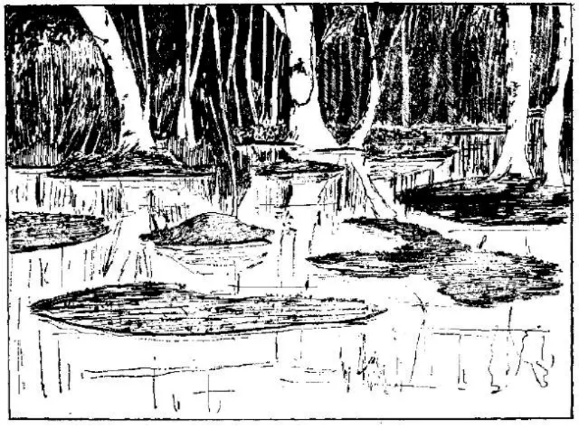盤(pán)點(diǎn)各類(lèi)地質(zhì)地貌類(lèi)型-地熱資源開(kāi)發(fā)-地大熱能