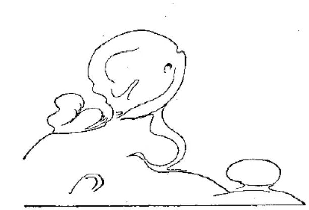 盤(pán)點(diǎn)各類(lèi)地質(zhì)地貌類(lèi)型-地熱資源開(kāi)發(fā)-地大熱能